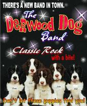 The Derwood Dog Band! profile picture