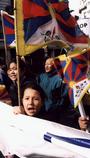 Free Tibet Campaign profile picture