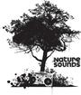 Nature Sounds profile picture