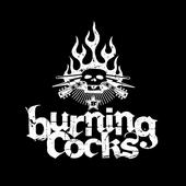 Burning cocks profile picture