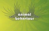 ANIMAL BEHAVIOUR profile picture