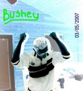 bushey420raver