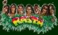 likecrazyrasta