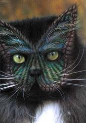 GreenEyed Katt profile picture