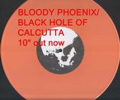 TVG - BLOODY PHOENIX/ BHOC 10" OUT NOW profile picture