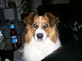 Derek profile picture