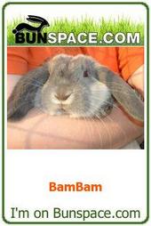 BamBam is on Bunspace.com now profile picture