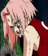 â€¡Sakuraâ€¡ *will Fight for Happiness/ Freedom* profile picture