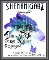 SHENANIGANZ VENUE profile picture