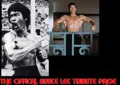 bruceleetribute15