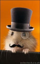 Hamster On The Marshall profile picture