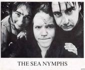 Sea Nymphs profile picture