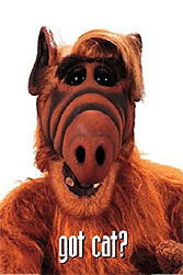 Alf profile picture