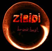 ZIBIDI profile picture