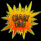 Crash-dive in cerca di batterista profile picture