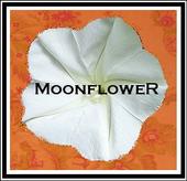 MoonfloweR profile picture