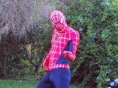 Spiderman profile picture