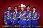 Los Tigres Del Norte profile picture