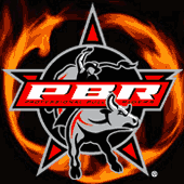 PBR profile picture