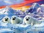 Protect Seals! profile picture