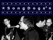 SongDogs profile picture