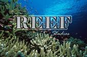 REEF Studios profile picture