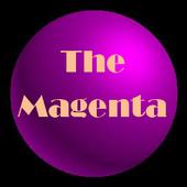 The Magenta profile picture