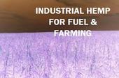 Industrial Hemp for Fuel & Farming profile picture