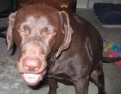 Snooky Kiss profile picture