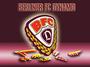 BFC Dynamo Support Â® profile picture