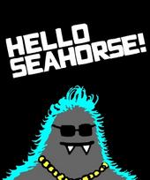 Hello Seahorse! profile picture