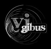 Vj Gibus profile picture