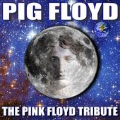 Pig Floyd profile picture