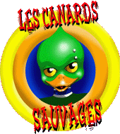 LES CANARDS SAUVAGES profile picture