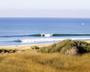 Save Trestles Beach profile picture