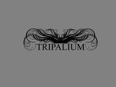 [ t r i p a l i u m ] profile picture