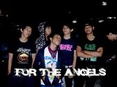 For The Angels (comming soon a new demo 2009) profile picture