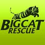 Big Cat Rescue profile picture