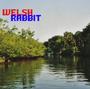 Welsh Rabbit (New Album Out Now) profile picture