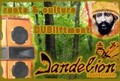 Dandelion Soundsystem profile picture