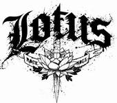 LOTUS (Official Profile) profile picture