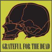 Grateful for the Dead profile picture