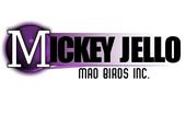 Mickey Jello profile picture