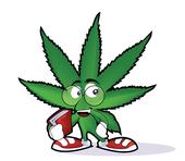 marijuanascholar