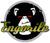 EngorileFestival!! profile picture