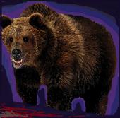 runningbear4u profile picture