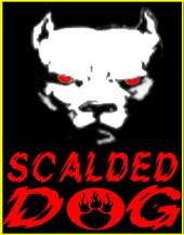 SCALDED DOG profile picture