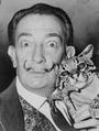 Salvador Dali profile picture