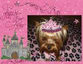 Lil Angel Doggie Designs profile picture