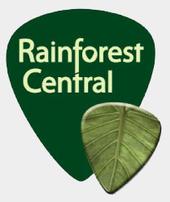 Rainforest Central profile picture